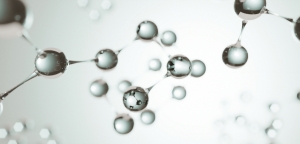 Supplements for Increasing NAD Levels: A Comprehensive Guide Supplements for Increasing NAD Levels: A Comprehensive Guide